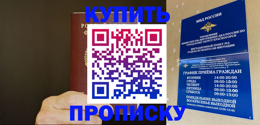 прописка поиск в Калининграде
